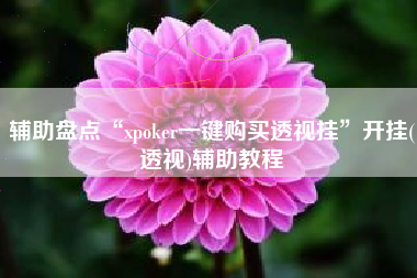 辅助盘点“xpoker一键购买透视挂”开挂(透视)辅助教程