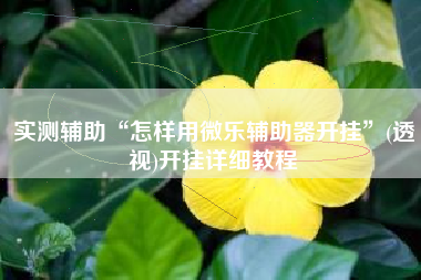 实测辅助“怎样用微乐辅助器开挂”(透视)开挂详细教程