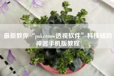最新教你“pokernow透视软件	”科技辅助神器手机版教程
