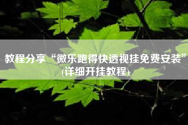 教程分享“微乐跑得快透视挂免费安装”(详细开挂教程)