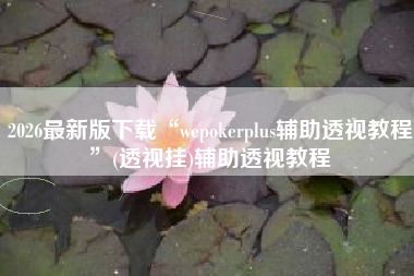 2026最新版下载“wepokerplus辅助透视教程	”(透视挂)辅助透视教程