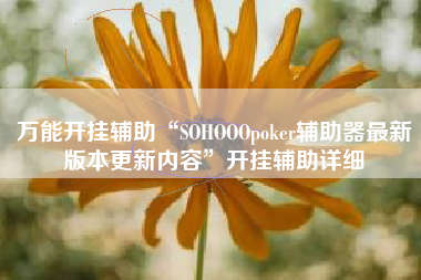 万能开挂辅助“SOHOOOpoker辅助器最新版本更新内容	”开挂辅助详细