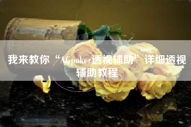我来教你“AGpoker透视辅助”详细透视辅助教程