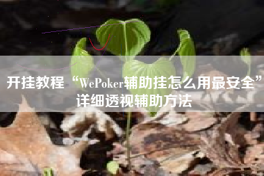 开挂教程“WePoker辅助挂怎么用最安全”详细透视辅助方法