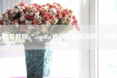必看教程“aapoker透明挂是真的吗”辅助挂下载