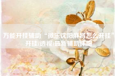 万能开挂辅助“微乐沈阳麻将怎么开挂	”开挂(透视)最新辅助详细