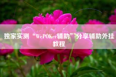 独家实测“WePOKer辅助”分享辅助外挂教程