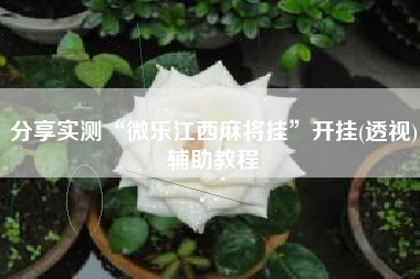 分享实测“微乐江西麻将挂”开挂(透视)辅助教程