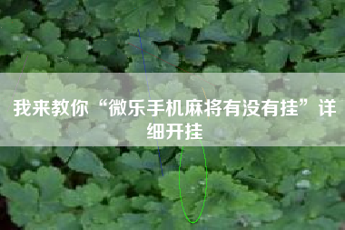我来教你“微乐手机麻将有没有挂”详细开挂
