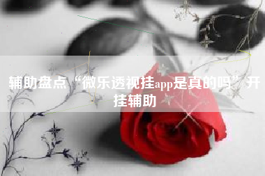 辅助盘点“微乐透视挂app是真的吗”开挂辅助