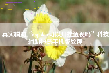 真实辅助“appoker可以开挂透视吗	”科技辅助神器手机版教程