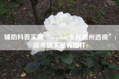 辅助科普实测“wepoker全民德州透视”(原来确实是有插件)