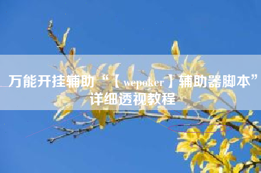 万能开挂辅助“【wepoker】辅助器脚本	”详细透视教程