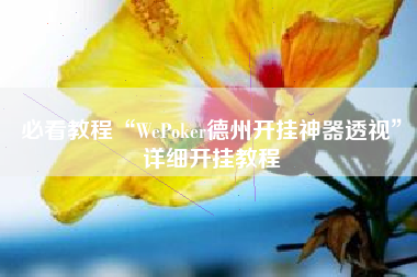 必看教程“WePoker德州开挂神器透视	”详细开挂教程