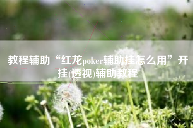 教程辅助“红龙poker辅助挂怎么用	”开挂(透视)辅助教程