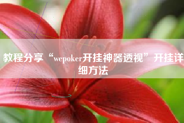 教程分享“wepoker开挂神器透视	”开挂详细方法