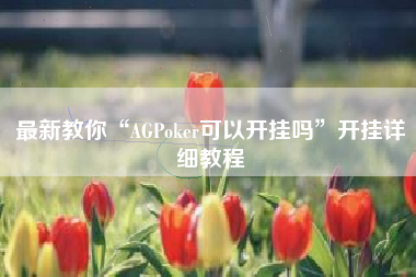 最新教你“AGPoker可以开挂吗”开挂详细教程