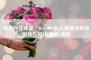 辅助开挂神器“WePoKer私人局有没有透视挂”开挂(透视)辅助