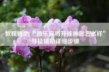 教程辅助!“微乐麻将开挂神器怎么样”开挂辅助详细步骤