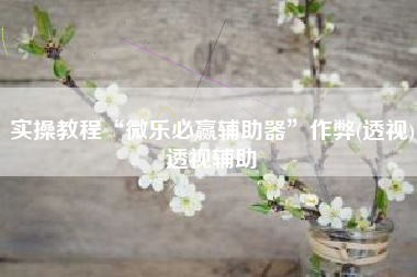 实操教程“微乐必赢辅助器”作弊(透视)透视辅助