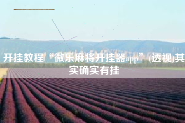 开挂教程“微乐麻将开挂器app”(透视)其实确实有挂