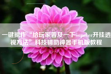 一键操作“给玩家普及一下wepoker开挂透视方法”科技辅助神器手机版教程