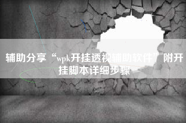 辅助分享“wpk开挂透视辅助软件	”附开挂脚本详细步骤