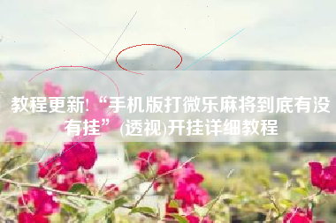 教程更新!“手机版打微乐麻将到底有没有挂”(透视)开挂详细教程