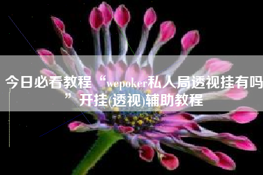 今日必看教程“wepoker私人局透视挂有吗	”开挂(透视)辅助教程