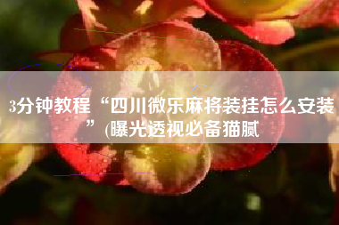 3分钟教程“四川微乐麻将装挂怎么安装	”(曝光透视必备猫腻