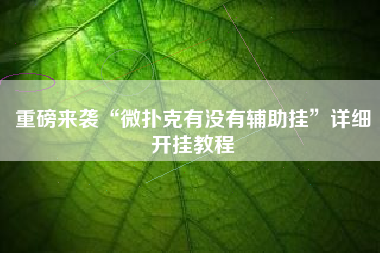 重磅来袭“微扑克有没有辅助挂	”详细开挂教程