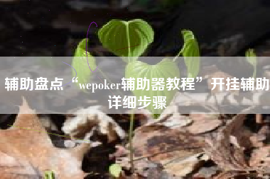 辅助盘点“wepoker辅助器教程”开挂辅助详细步骤
