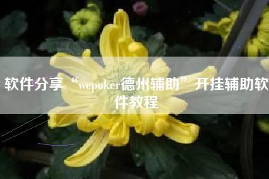 软件分享“wepoker德州辅助”开挂辅助软件教程