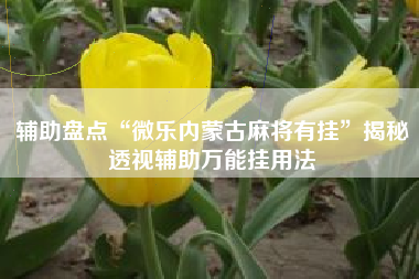 辅助盘点“微乐内蒙古麻将有挂	”揭秘透视辅助万能挂用法