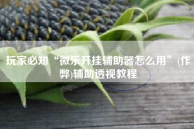 玩家必知“微乐开挂辅助器怎么用	”(作弊)辅助透视教程