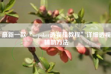 最新一款“wepoker透视挂教程	”详细透视辅助方法