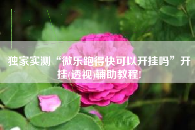 独家实测“微乐跑得快可以开挂吗”开挂(透视)辅助教程!