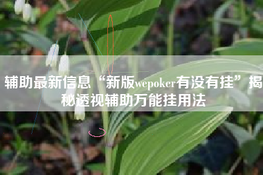 辅助最新信息“新版wepoker有没有挂”揭秘透视辅助万能挂用法