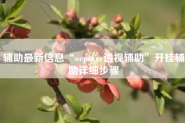 辅助最新信息“wepoker透视辅助	”开挂辅助详细步骤