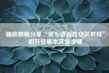 辅助教程分享“微乐透视挂安装教程	”附开挂脚本详细步骤