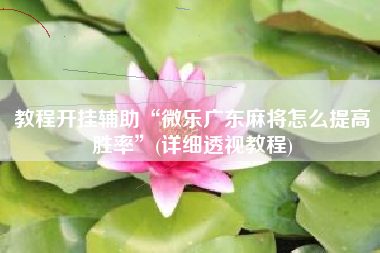 教程开挂辅助“微乐广东麻将怎么提高胜率”(详细透视教程)