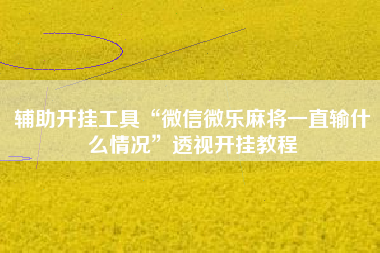 辅助开挂工具“微信微乐麻将一直输什么情况	”透视开挂教程