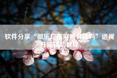 软件分享“微乐广东麻将有挂吗”透视开挂辅助教程