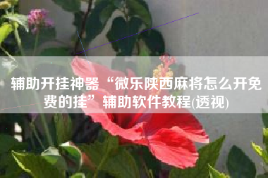 辅助开挂神器“微乐陕西麻将怎么开免费的挂”辅助软件教程(透视)