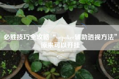 必胜技巧全攻略“wepoker辅助透视方法”原来可以开挂