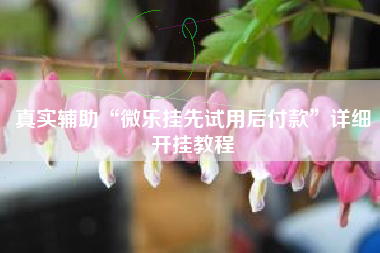 真实辅助“微乐挂先试用后付款	”详细开挂教程