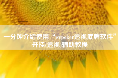一分钟介绍使用“wepoker透视底牌软件”开挂(透视)辅助教程