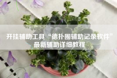 开挂辅助工具“德扑圈辅助记录软件	”最新辅助详细教程