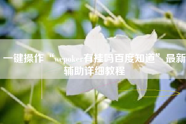 一键操作“wepoker有挂吗百度知道”最新辅助详细教程