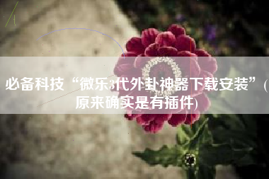 必备科技“微乐3代外卦神器下载安装”(原来确实是有插件)